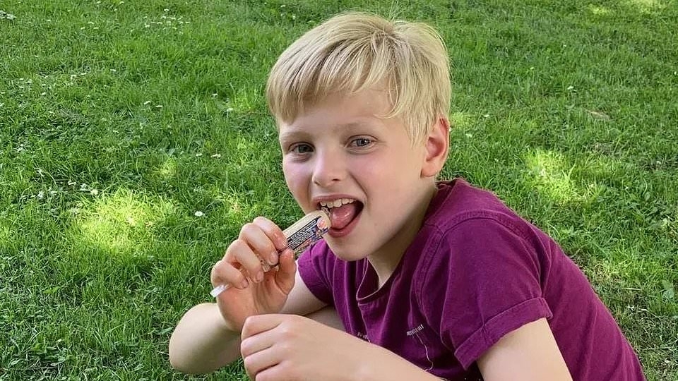 Young boy killed in a car crash on Easter Monday is pictured as friends raise money to help his family