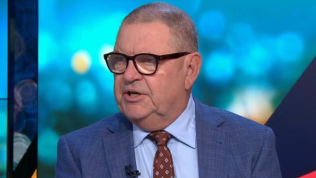 The Project's right wring pundit Steve Price slams Victoria's machete ban following brawl that shut down major shopping centre: 'A joke'