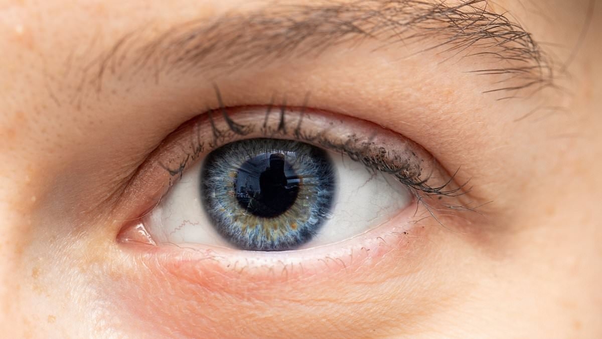 The slightest change in your eyes could reveal just how accurate your memories are, according to scientists