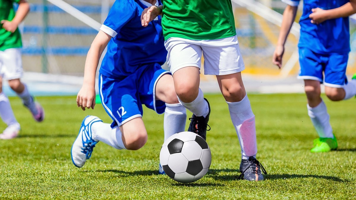 Rival spectator faces ban after he allegedly strangled a boy, 11, during a Perth junior soccer match