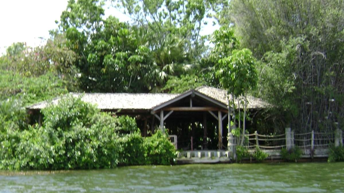 The murky history behind the eerie abandoned zoological park inside Disney World