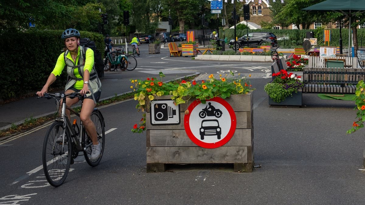 As Lambeth loses case brought by local campaigners, and other councils face court showdowns... Is this the end of the road for the hated LTNs fleecing drivers and leaving our suburbs gridlocked?