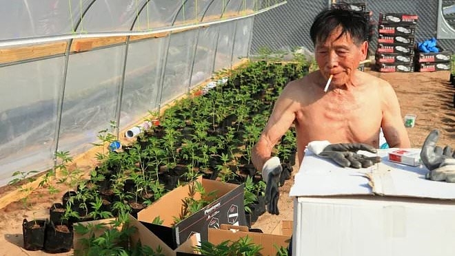 Chinese and Mexican cartels exploit woke American laws to cash in after fentanyl crackdown