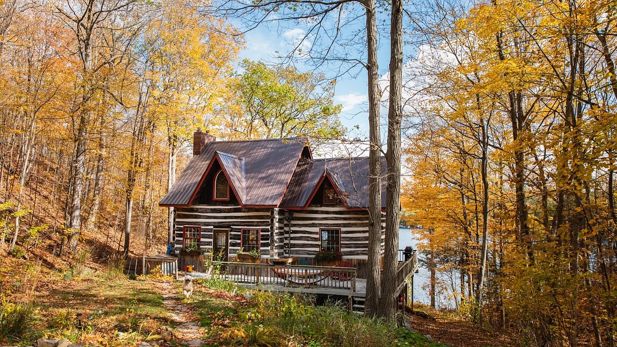 A longevity expert says he lowered his biological age by moving his entire family to the forest