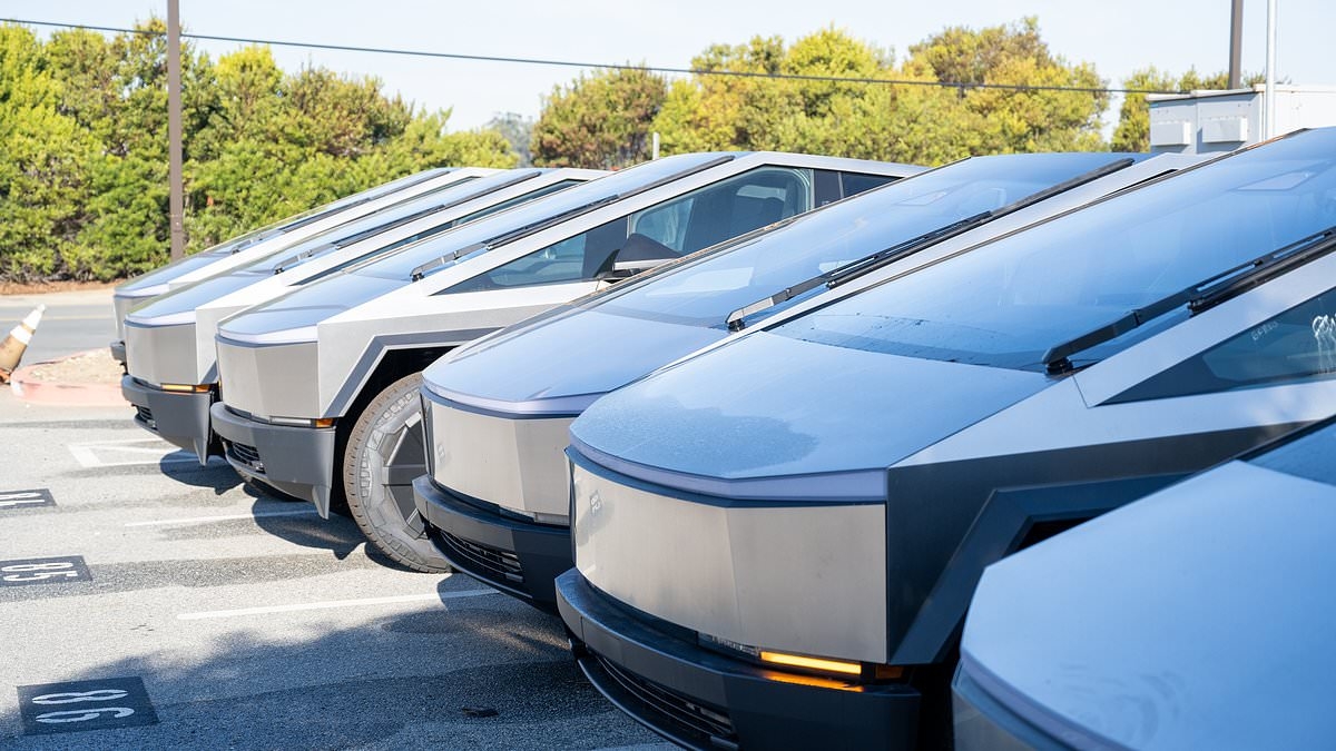 Tesla customers stunned after discovering worrying detail about Elon Musk's electric vehicles