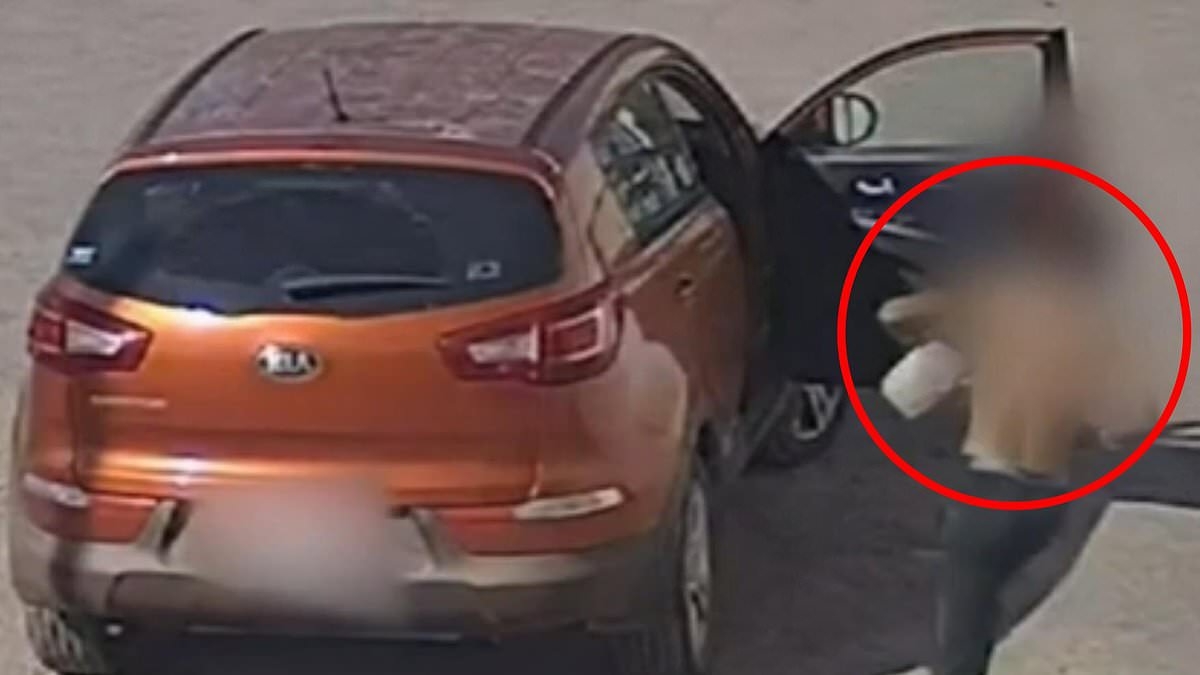 Carjacking teen, 15, who dumped baby and toddler on the side of the road in 40C heat learns his fate