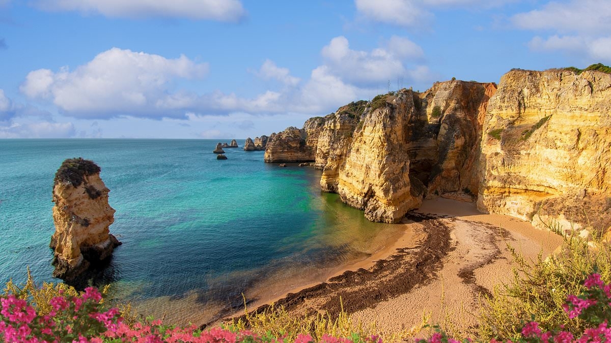 EXCLUSIVE Smug reason billionaires are boycotting the Hamptons as they flee to new summer haven