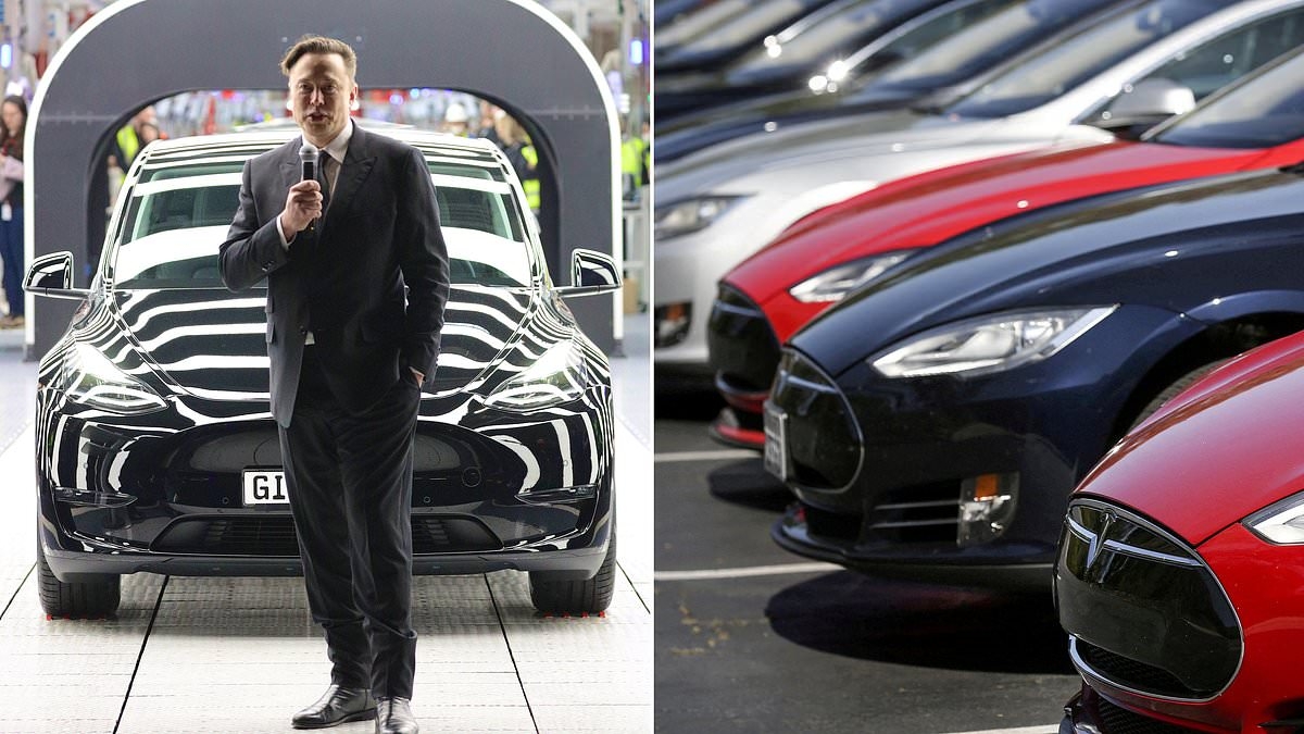 Tesla sales plunge in Europe amid backlash against boss Elon Musk's role in the Trump administration
