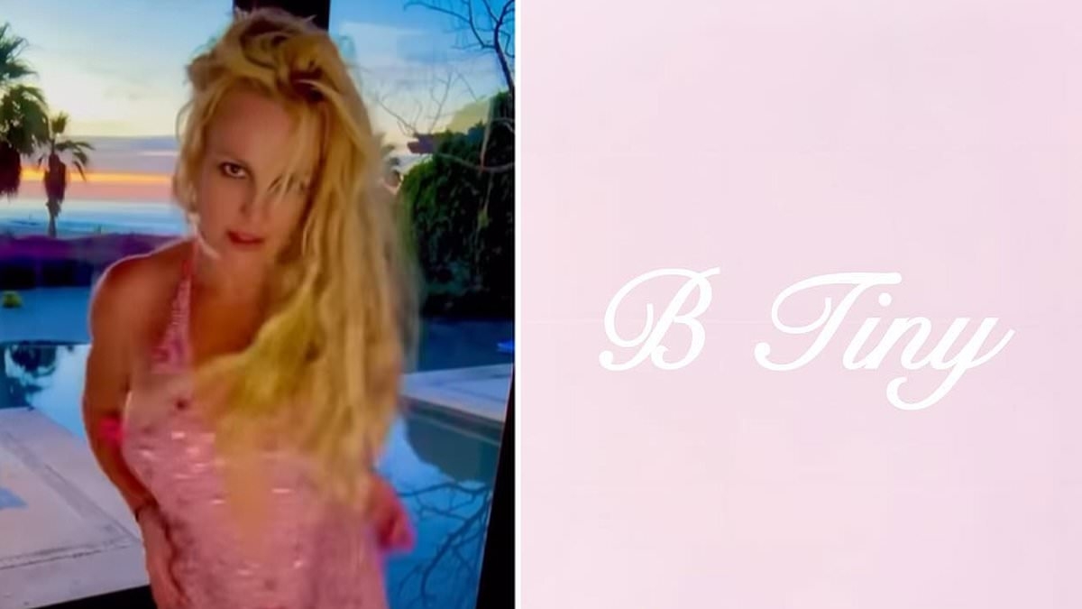 Britney Spears drops clue about new career move after smoking on plane saga