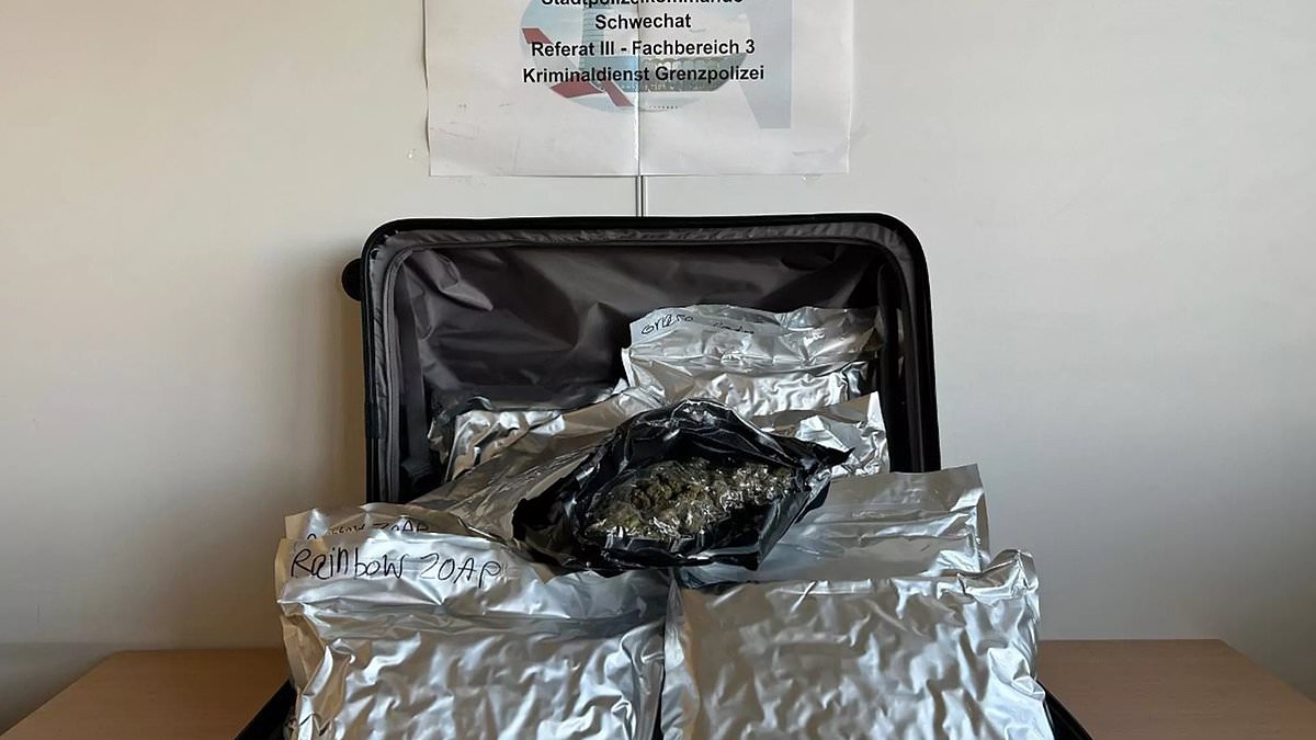 Brit is arrested with a suitcase 'stuffed with £100,000 of cannabis' travelling from Bangkok to UK - the latest to be detained with drugs after leaving Thailand