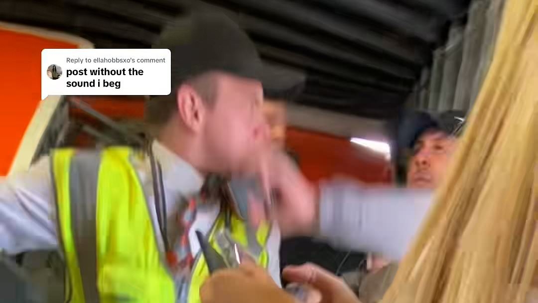 EXCLUSIVE Shocking moment British passenger screams homophobic abuse at airline staff and threatens other passengers for 'staring at him' before getting PUNCHED by airport worker
