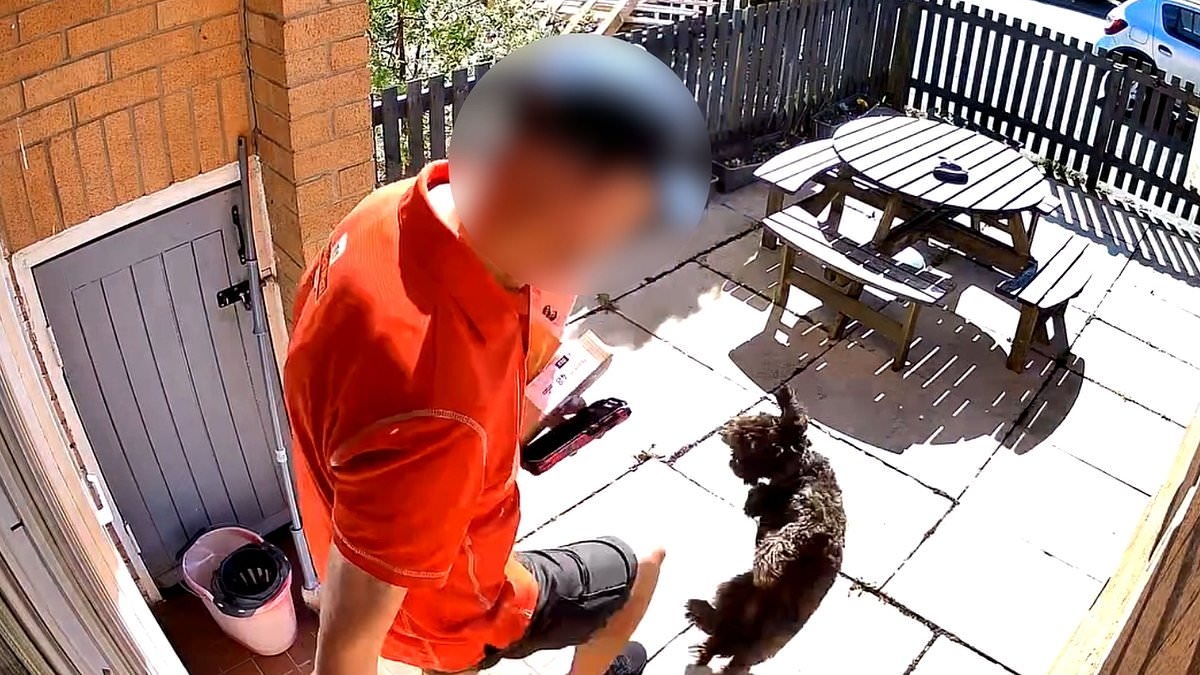 Horrific moment postman kicks rescue puppy in the face - as owner says Royal Mail have threatened to stop delivering to her home unless she keeps tiny cockapoo under control