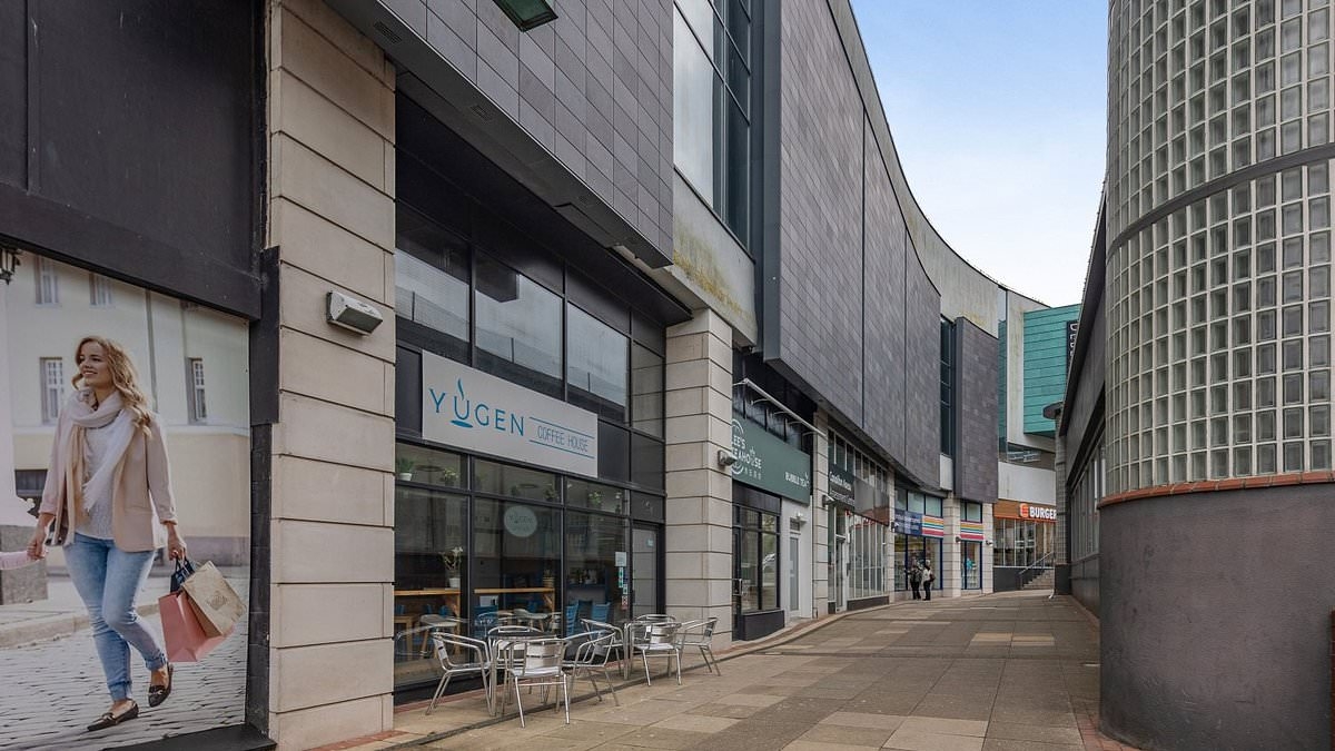 New blow for Britain's worst seaside town rated 'drab' and 'rundown' as its main shopping centre goes up for sale at knockdown price