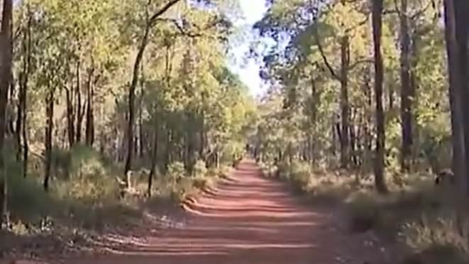Boy, 8, is killed in a freak accident on gravel road - as cops launch an investigation