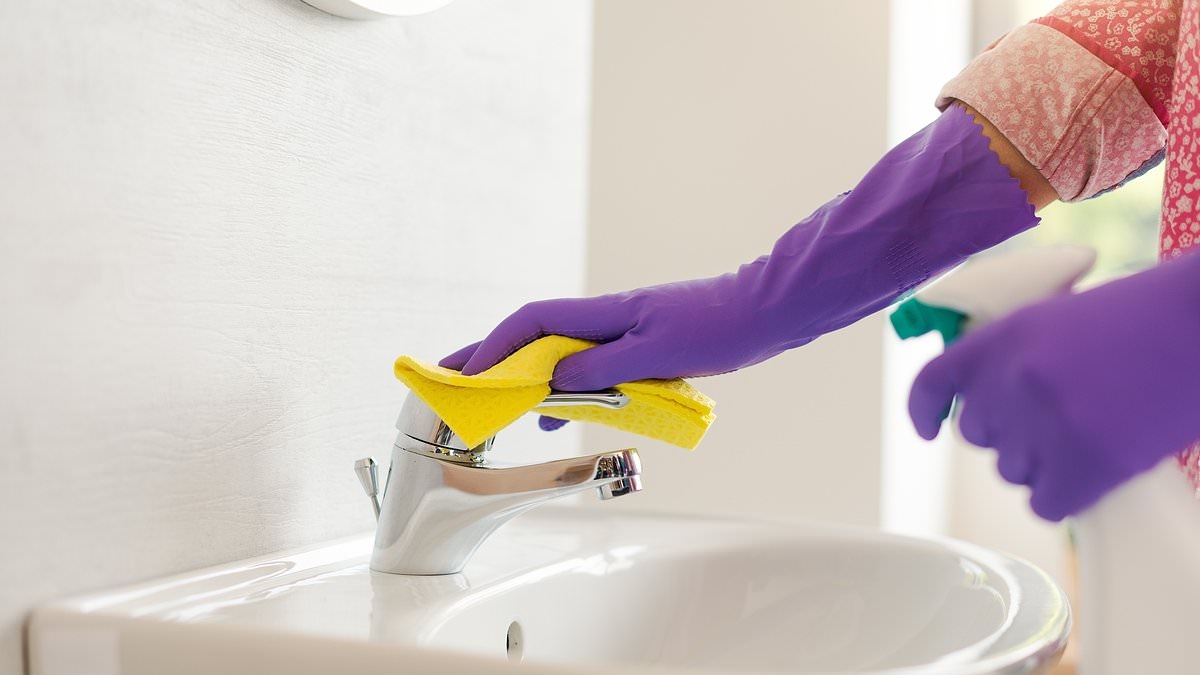 You're cleaning your bathroom wrong! Expert reveals the proper way to scrub your shower and toilet - and why you should NEVER mix products
