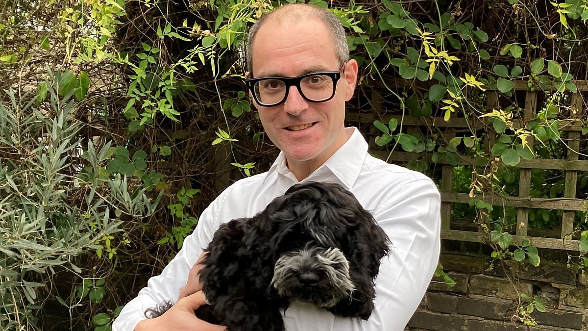 How Britain was sold a pup over cockapoos: They were sold as being cuddly, good with children and cute as a stuffed toy. But as owners complain they chew everything, and many aren't even genuine, no wonder prices are falling...