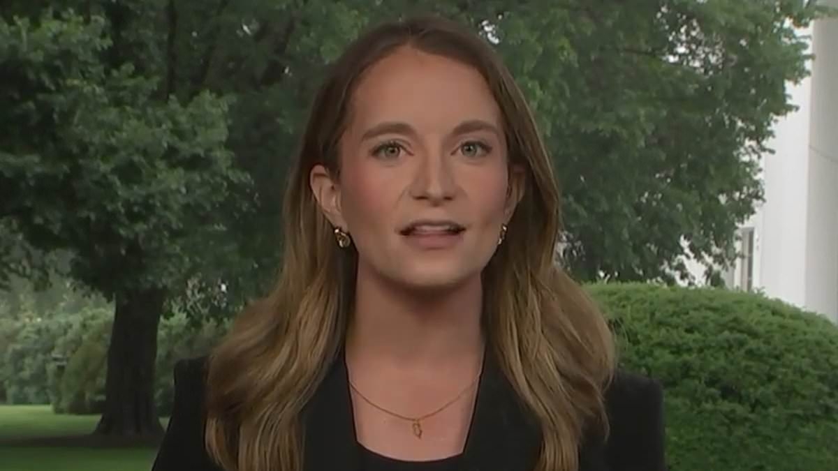 CNCB reporter BOASTS about Trump 'chicken' question that sparked meltdown