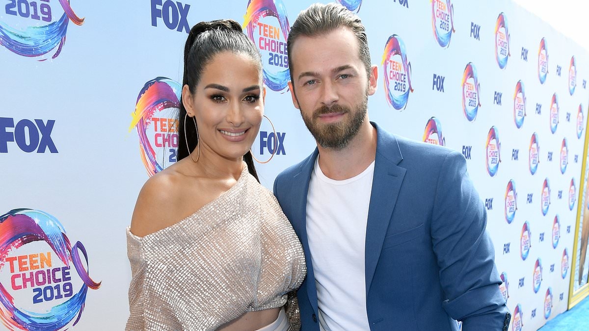 EXCLUSIVE Artem Chigvintsev buys $915k house in Napa Valley after ex Nikki Bella is awarded marital property in divorce settlement