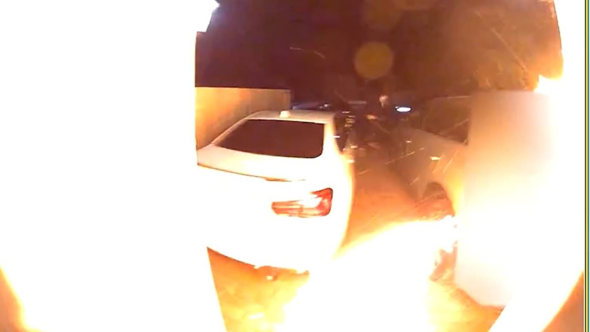 Moment mask-wearing thugs throw bricks and petrol bomb into home in targeted attack