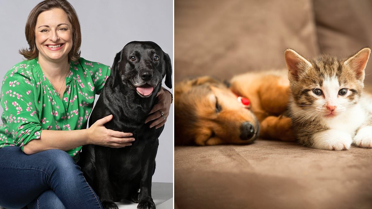 Pandemic boom in demand for puppies and kittens 'is over', says Pets at Home boss