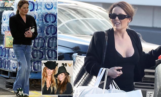 EXCLUSIVE Inside the tragic downfall of former Sydney society 'It' girl as she hits a new low - after she was accused of shocking forgery scam