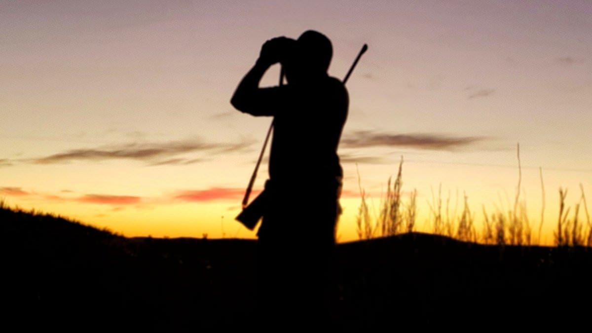Controversial proposal to pay hunters cash to kill feral animals in Australia
