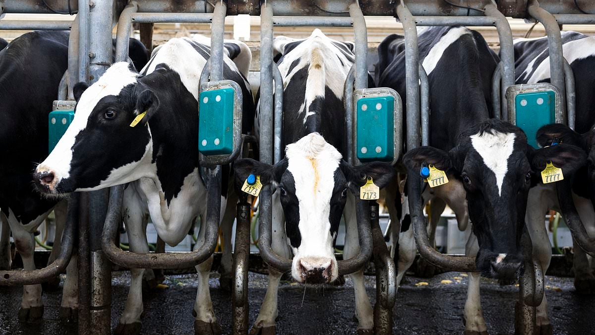 EXCLUSIVE Now woke scientists want to rename World Milk Day 'Bovine Mammary Secretion Day'
