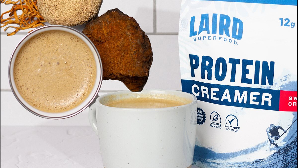 Are you getting the protein YOU need? Save 20% on the plant-based solution packed with adaptogens that revs up your metabolism and boosts energy