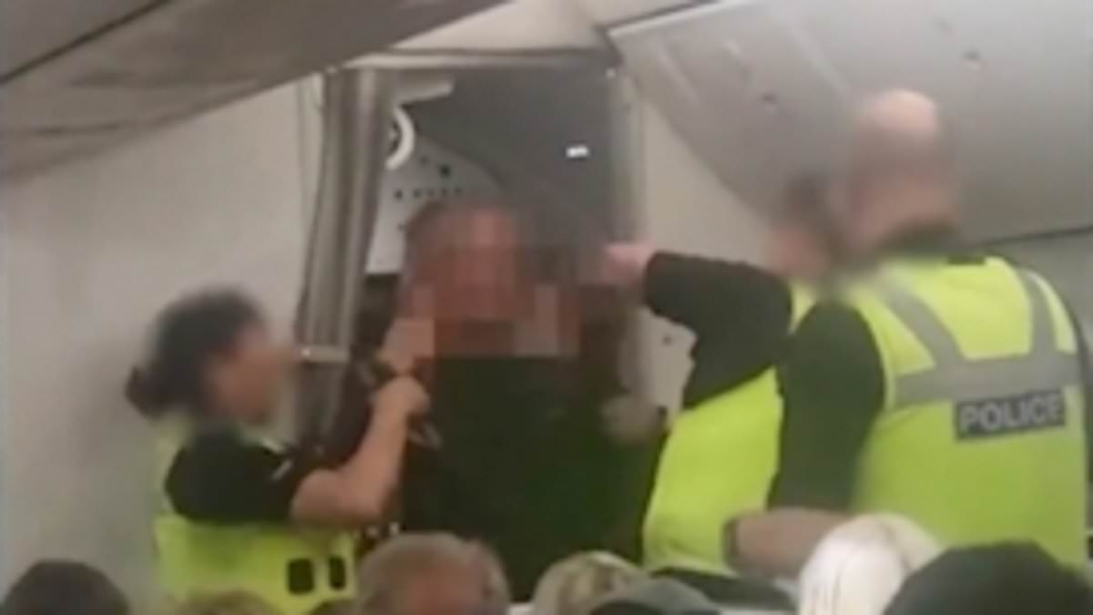 Shocking moment 'drunk' passenger is arrested 'after punching air hostess and shouting "the plane is going to crash"' in front of screaming cabin crew