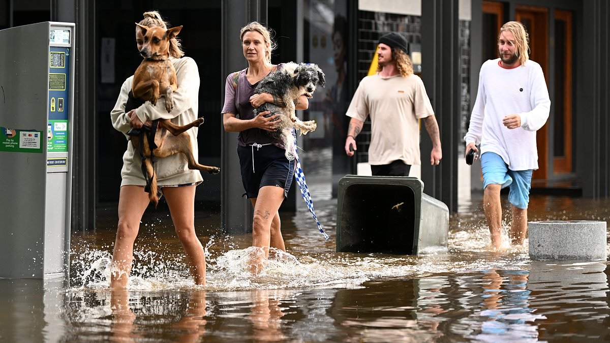 The major threat in Australia that no one can prepare for - as an urgent wake up call issued