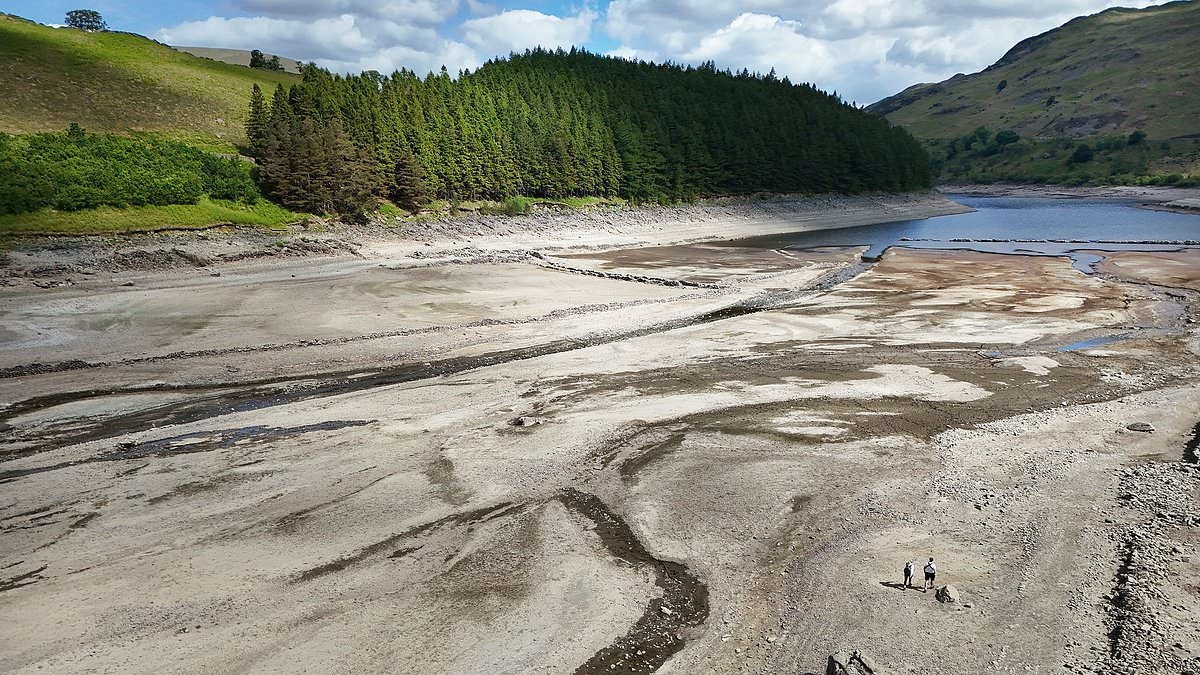 Drought declared in the UK after driest spring for nearly 100 years as water levels in rivers and reservoirs run low