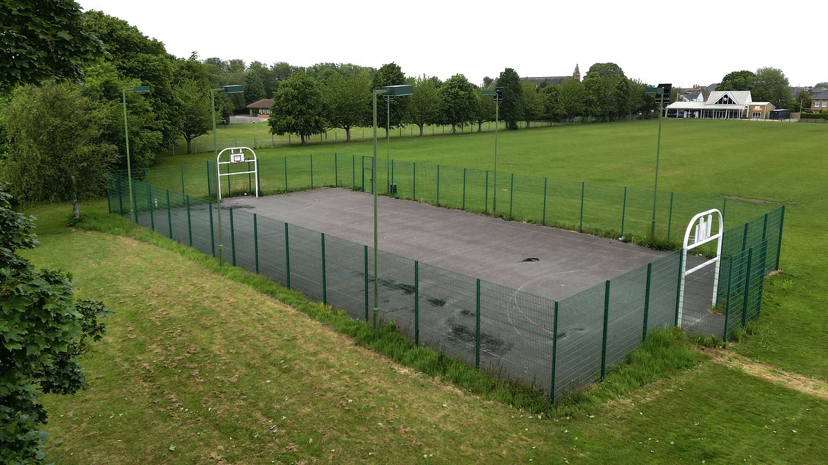 EXCLUSIVE The DEATH of fun! Fury as NIMBY neighbours force council to close public basketball court for 'mad' reason after similar militant locals BAN weddings and drinking near their homes