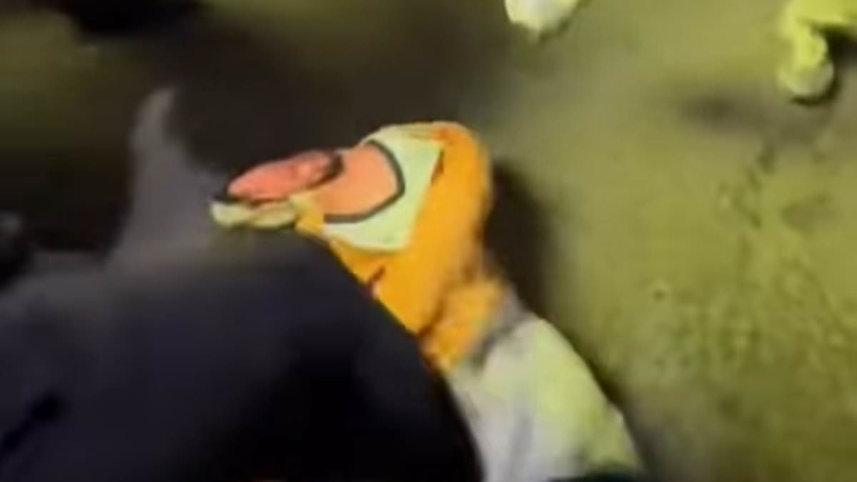 Knicks fans pummel Tyrese Haliburton effigy in sick 'social experiment' after win over Pacers