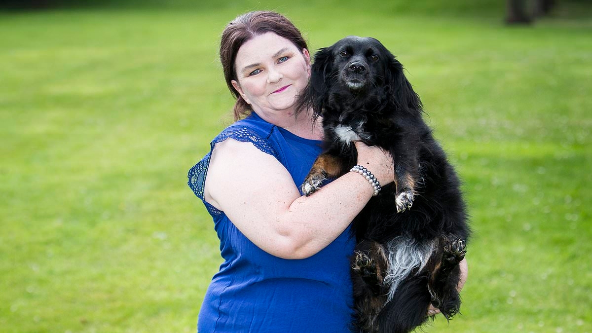 Vet who 'permanently injured' dog by leaving surgical instrument in its body after op is allowed to keep working - as campaigners say complaints are ignored