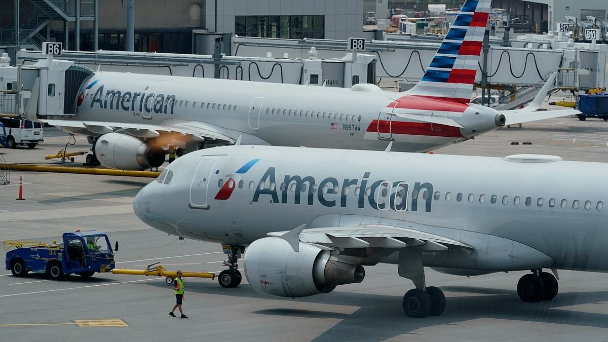 BREAKING NEWS Terror on American Airlines as passenger attacks flight attendant
