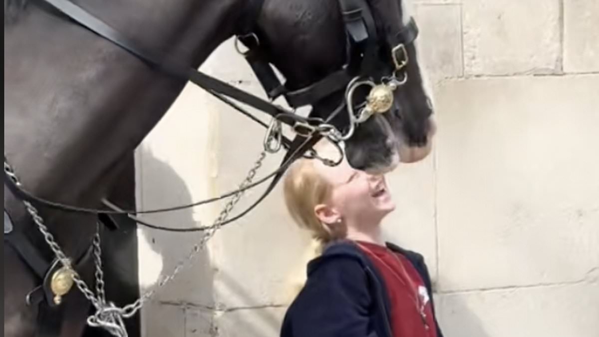 Heartwarming moment King's Guard horse rewards delighted little girl with a 'kiss' after she makes sweet gesture