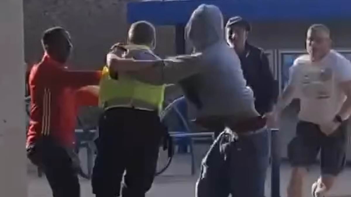 Moment feral yob attacks PCSO outside newsagents before have-a-go heroes intervene