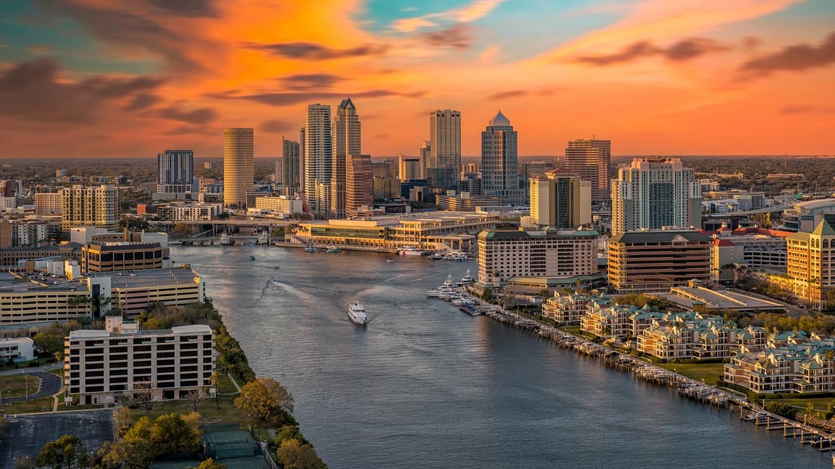 Realtors panic as buyers pull out of deals at near record levels