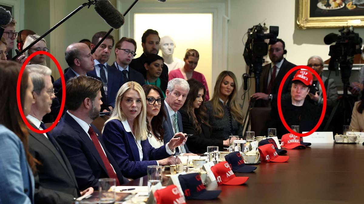 EXCLUSIVE Insane moment Elon Musk 'SHOVED' Trump's treasury secretary Scott Bessent during screaming match