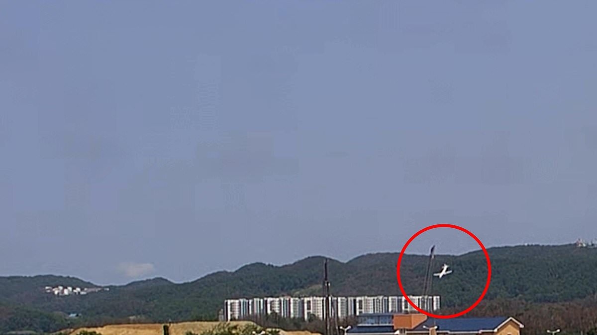 Terrifying moment military plane nose-dives into the ground minutes after take-off in South Korea, killing four crew
