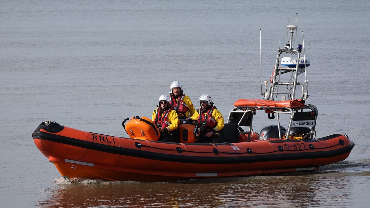 Police resume search for missing nine-year-old girl who vanished into Thames in front of her parents after her brother was plucked to safety