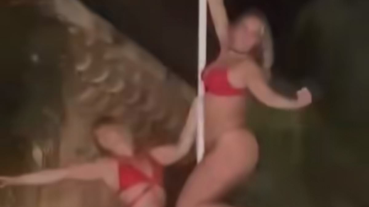 'They're artists!' Furious father of British pole dancer who was arrested with four others for 'degrading' a World Heritage site insist they were creating art