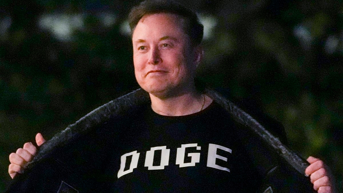 EXCLUSIVE DOGE loses its head Elon Musk but his 'super-genius' nerd army troops are now inside the deep state