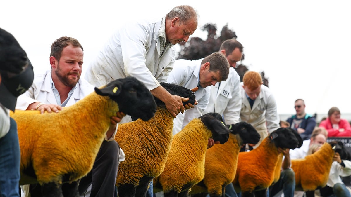 Scrap 'cruel' and 'archaic' Highland Show livestock parade, say animal rights activists