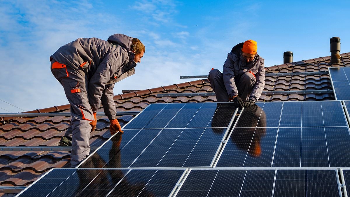 EXCLUSIVE One in five NHS trusts using Chinese-made solar panels 'linked to slaves'