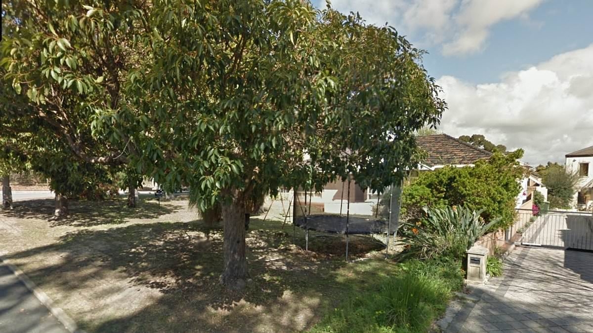 Couple's plans for their forever home in tatters after local council refused to cut down a single native tree for this absurd reason