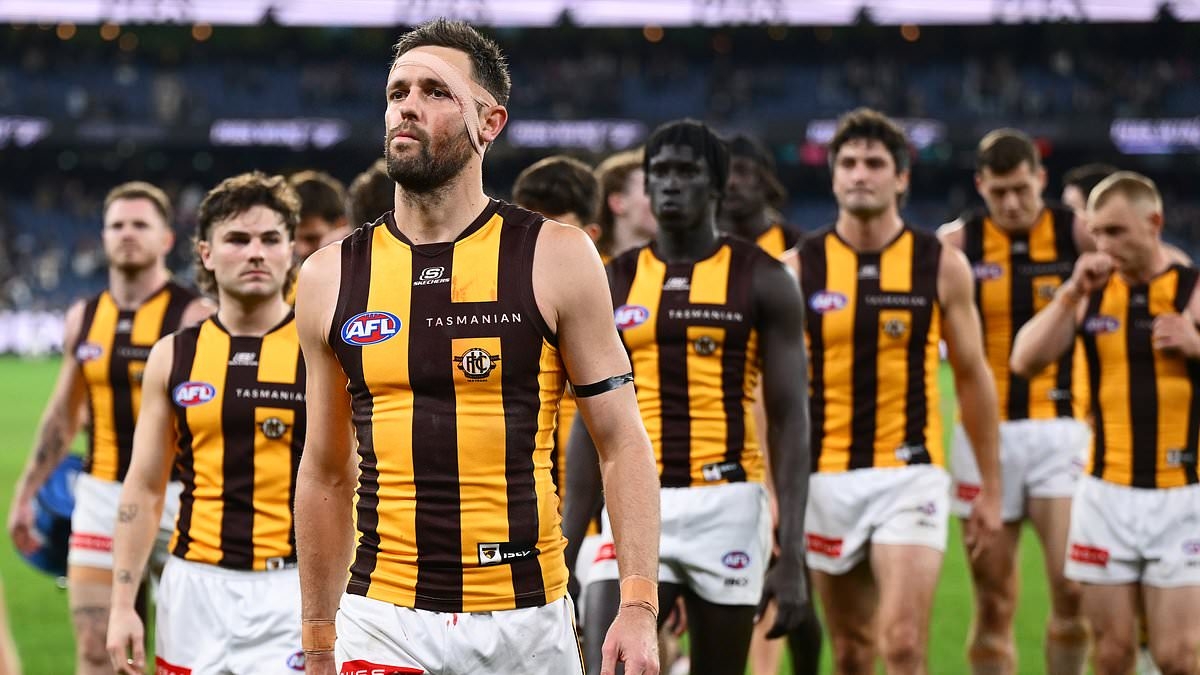 Shocking violence from Hawthorn supporters caught on camera in the wake of big loss to Collingwood at the MCG