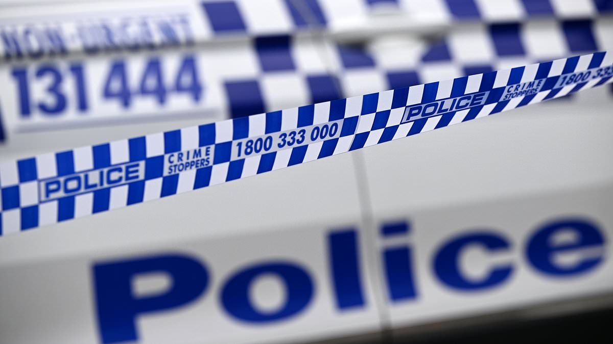 BREAKING NEWS Toddler 'critical' after being hit by a car in the driveway of a home in Villawood, Sydney