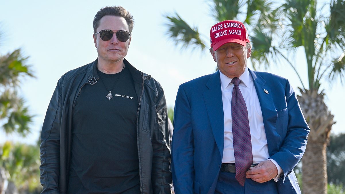 How Trump was wracked by a fatal doubt about Elon before his exit