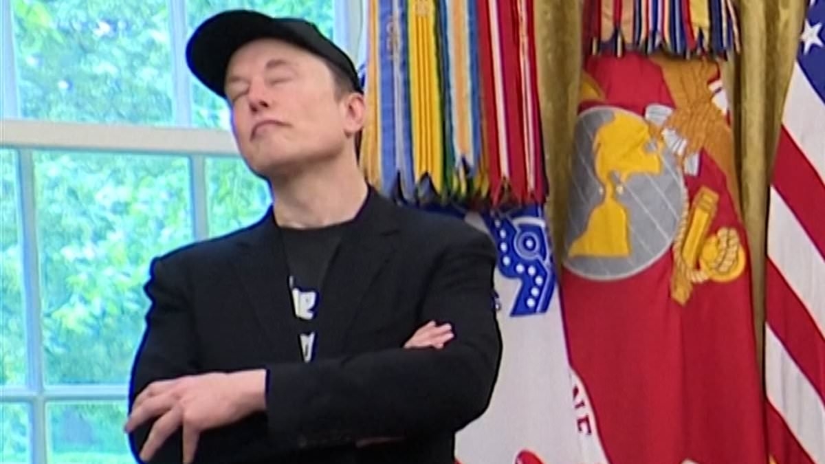 Viewers comment on Elon Musk's distracted appearance at White House after explosive report claimed he took ketamine, ecstasy and magic mushrooms on campaign trail